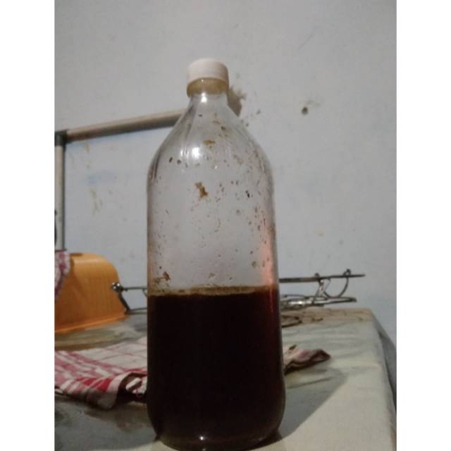 

Madu sialang asli sumatera selatan