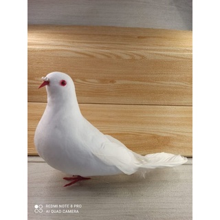 67 Gambar Burung Merpati Kartun Berwarna HD Terbaru