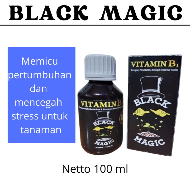 Pupuk Black Magic Terbaik, Pupuk Anti stres tanaman anggrek, Vitamin B1 Black Magic