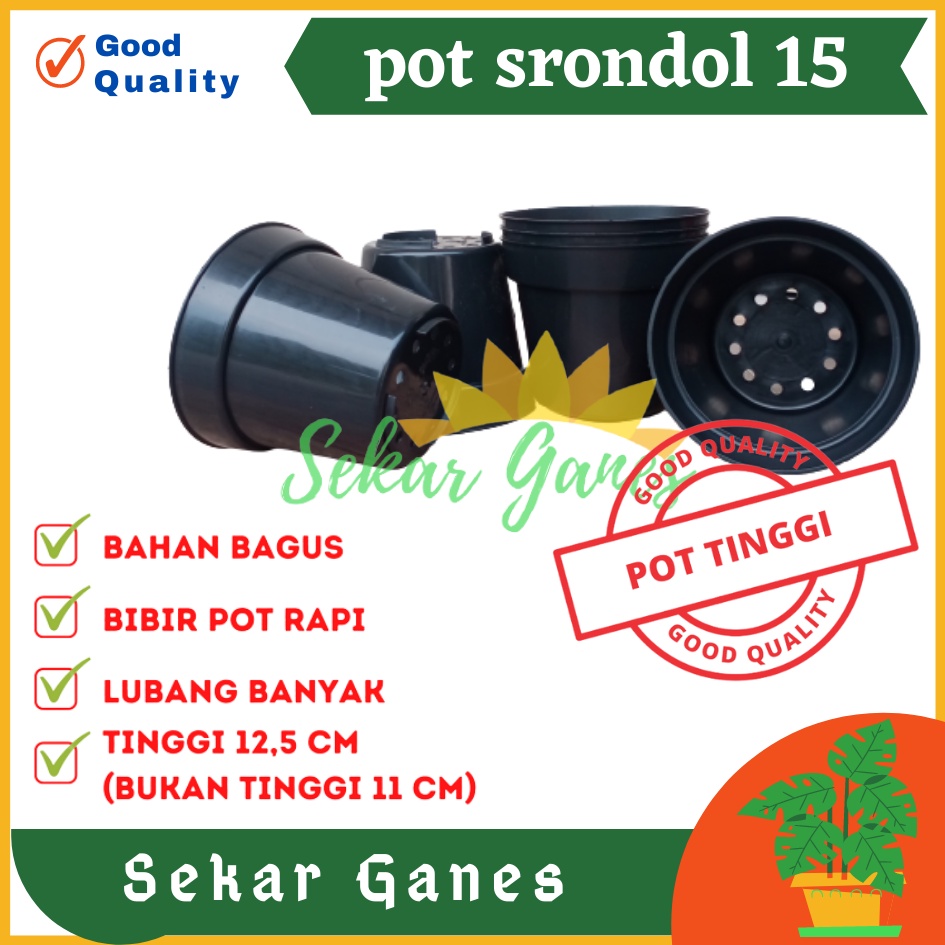 Sekarganes Pot Tinggi Srondol 15 Hitam - Pot Tinggi Usa Eiffel Effiel 18 20 25 Lusinan Pot Tinggi Tirus 15 18 20 30 35 40 50 Cm Paket murah isi 1 lusin pot bunga plastik lusinan pot tanaman Pot Bibit Besar Mini Kecil Pot Srondol 15