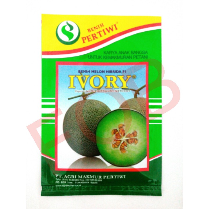 BENIH l PERTIWI l MELON IVORY 13GR