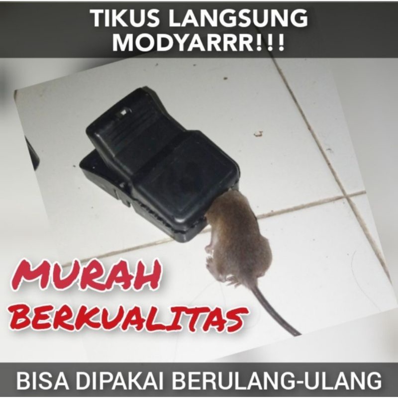 PERANGKAP JEBAKAN TIKUS PVC PENJEPIT