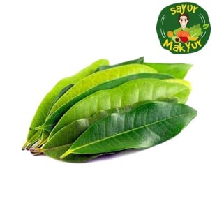 

Daun Salam 1 Ikat | Sayur Mak Yur Medan | sayurmakyur