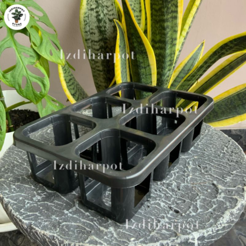 Tray pot nkt kotak 7CM (tanpa pot) | nkt kotak 7CM | tray semai bibit