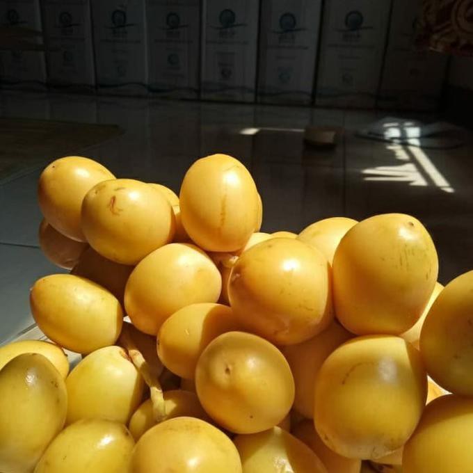 

Kurma Muda Arkanamarketht