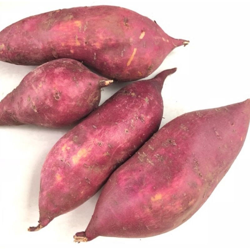 

Bisa Kirim Instan - Ubi Jalar / Ketela / Telo 1 kg