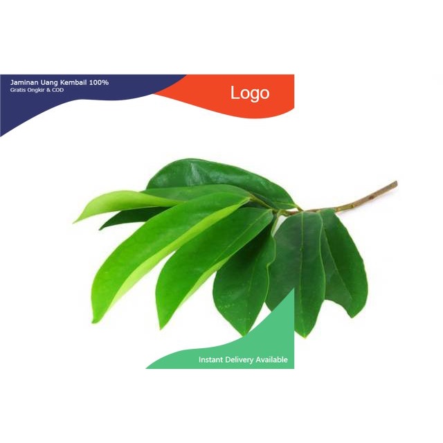 

Promo Daun sirsak per helai organik