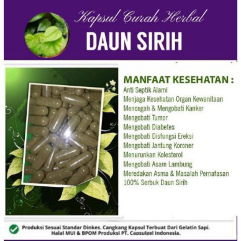 

Daun sirih kapsul daun sirih isi 100 antiseptik herbal
