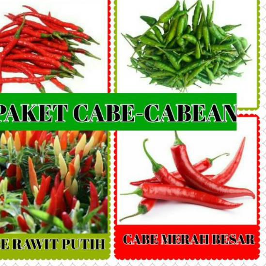¤¤» paket benih cabe/paket benih cabe-cabean/bibit cabe