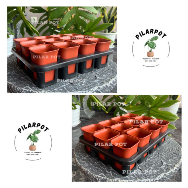 1 set Tray + pot bunga nkt kotak 5cm MERAH BATA | tray semai bibit