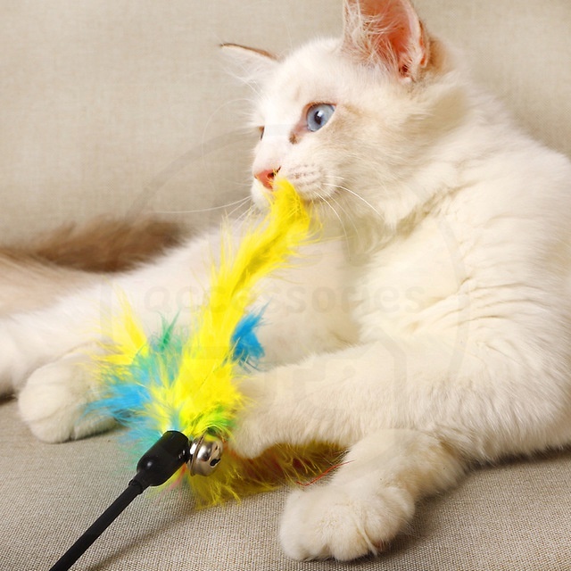 Tongkat Tikus Mainan Kucing Bulu Warna Stick Interaktif Cat Toys Mainan Hewan