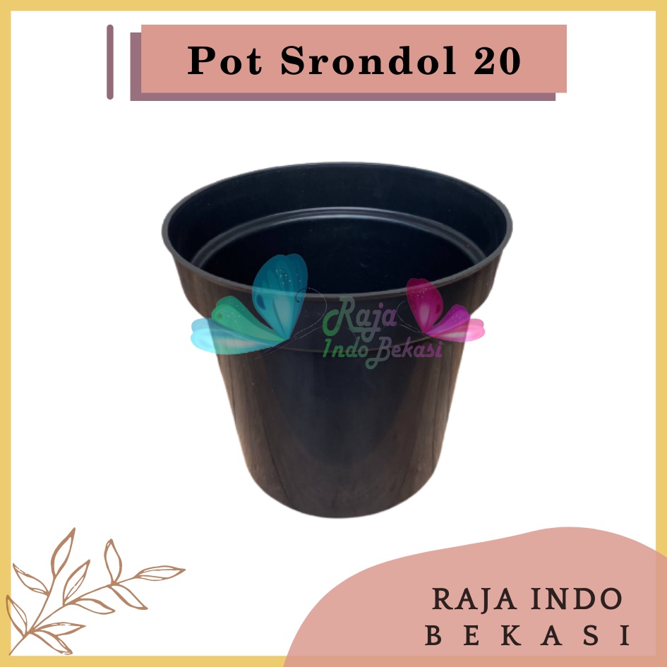 Rajaindobekasi Pot Tinggi Srondol 20 Hitam - Pot Tinggi Usa Eiffel Effiel 18 20 25 Lusinan Pot Tinggi Tirus 15 18 20 30 35 40 50 Cm Paket murah isi 1 lusin pot bunga plastik lusinan pot tanaman Pot Bibit Besar Mini Kecil Pot Srondol 15