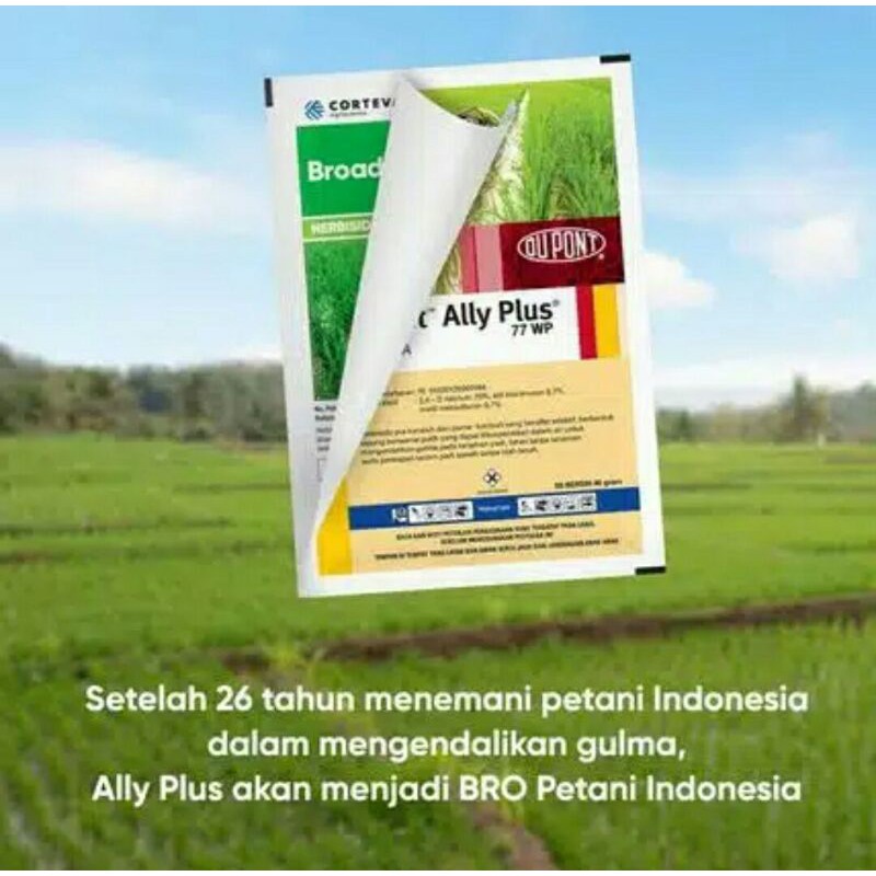 

Herbisida Padi BroadPlus Ally plus 77WP 40 gr Racun Rumput