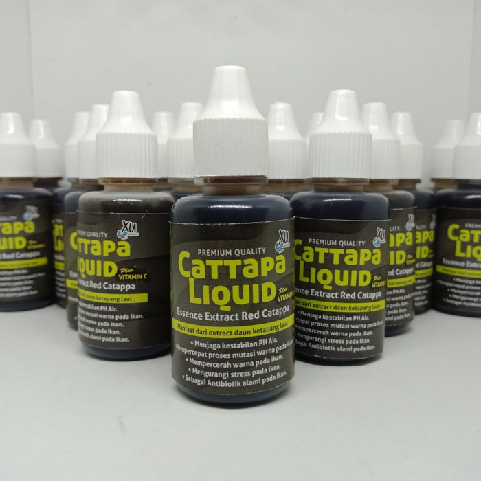 ekstrak ketapang laut premium plus vitamin C / extrak ketapang 30ml