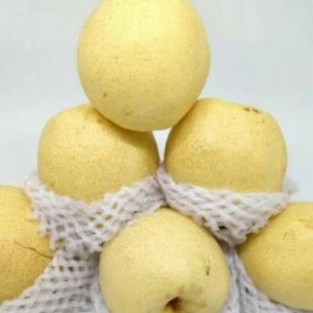 

Pir yali paket isi 3 pcs