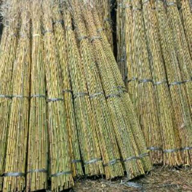 Bambu cendani untuk bambu ulir