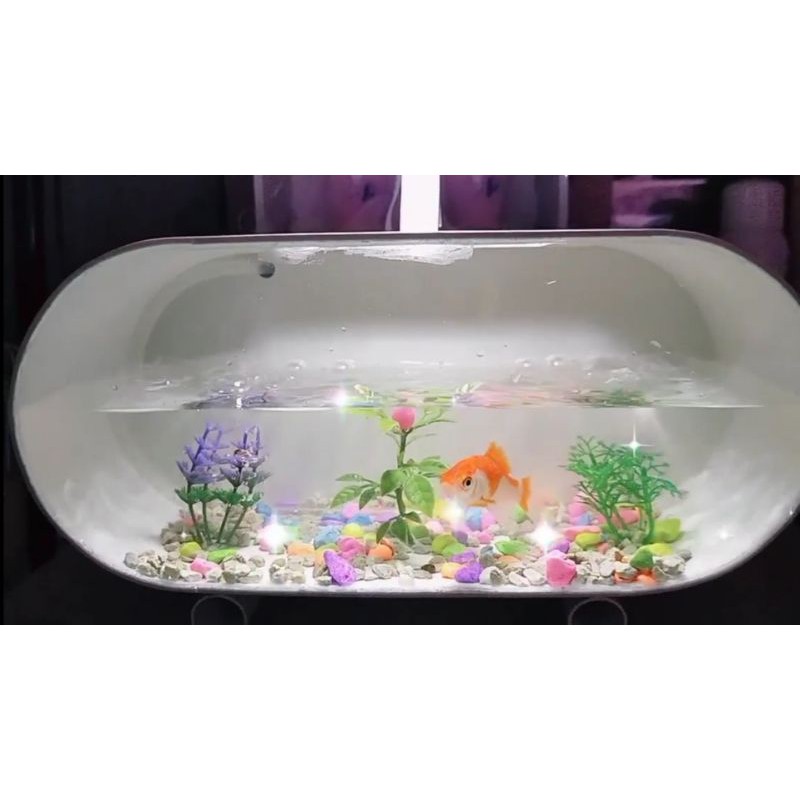 Aquarium mini unik bentuk oval