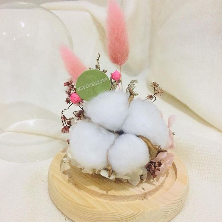 [Msdandelion] dried flower glass dome | kado ulang tahun | kado wisuda | hadiah anniversary | flower