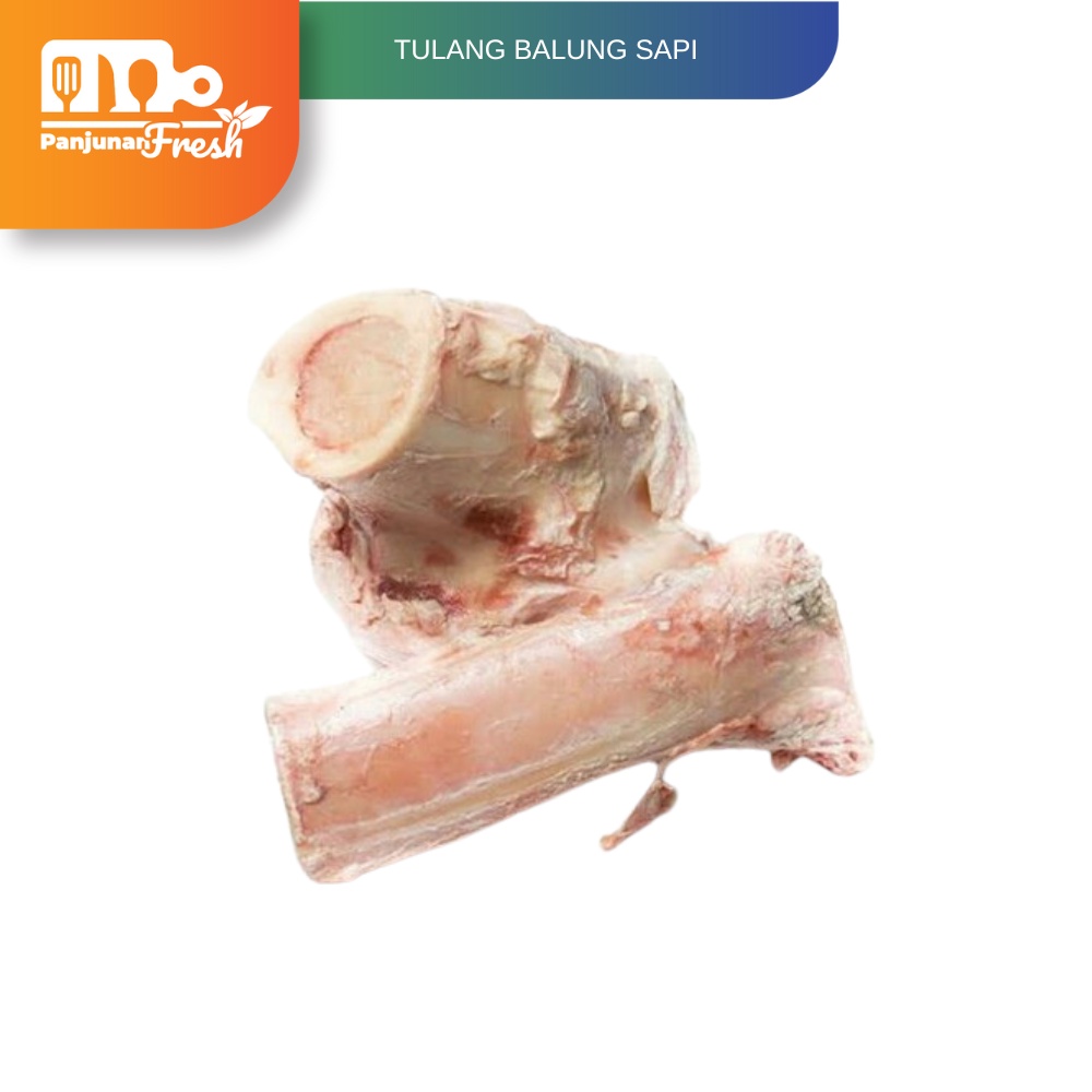 TULANG BALUNG SAPI SUPER TULANG SUMSUM BALUNGAN GAJAH 2 PCS