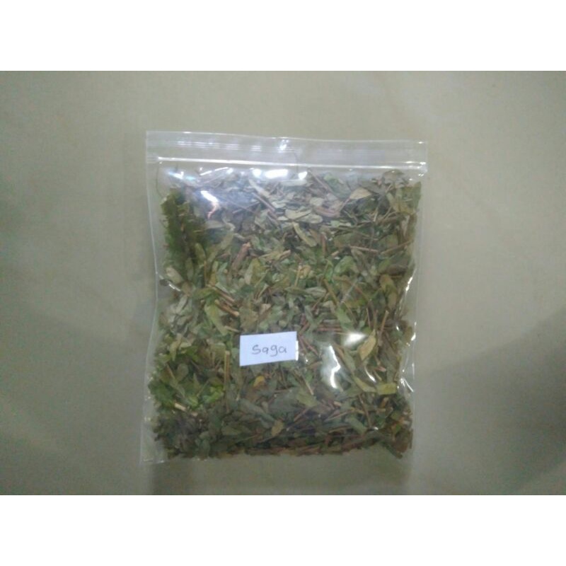 

DAUN SAGA ORIGINAL