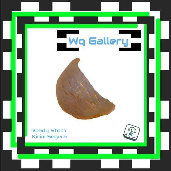 Sarang Burung Walet Mangkok Super Premium