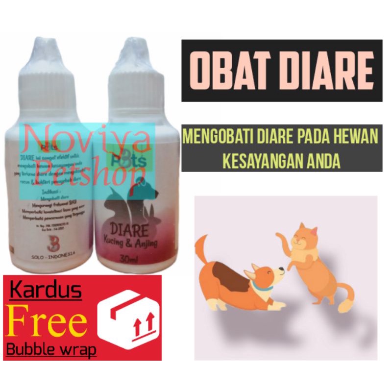 Obat diare kucing anjing