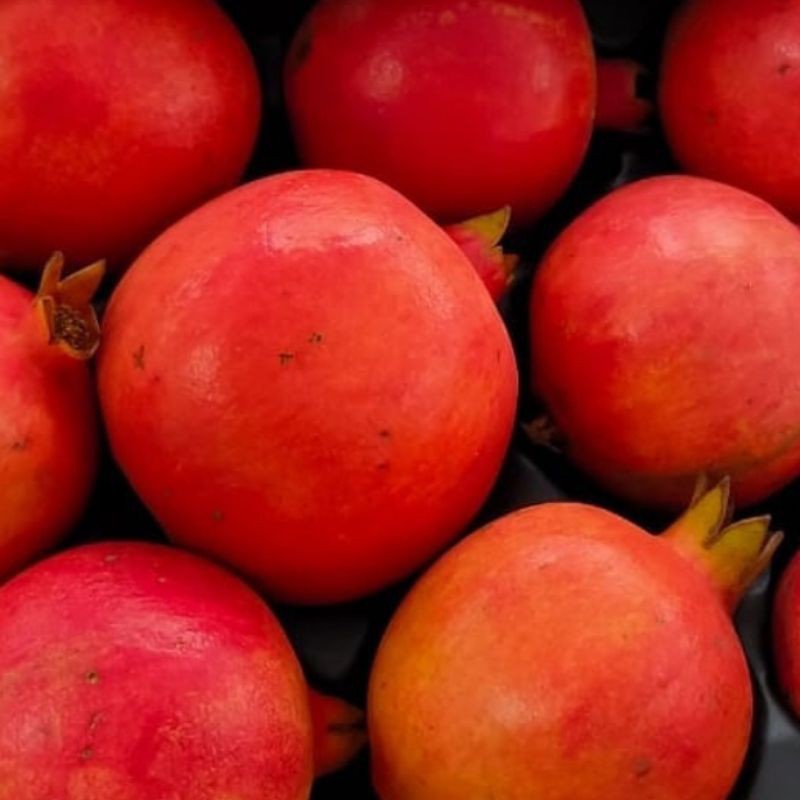 

BUAH DELIMA MERAH IMPORT PREMIUM 1 DUS