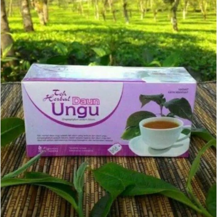 Obat herbal khasiat ampuh mengobati ambeien wasir susah buang air besar dngan teh daun ungu original asli 100% herbal