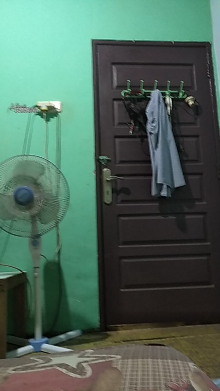 Maron Batik Hrb026 Kenongo Kemeja Tosca Pendek Pekalongan Padi M L Xl Sogan Tulis Halus Kemeja Batik