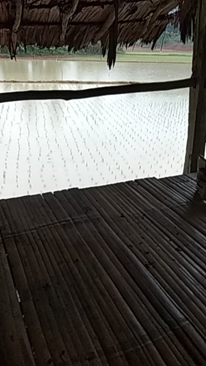 Cetak Foto Polaroid 5r Murmer Proses Cepat