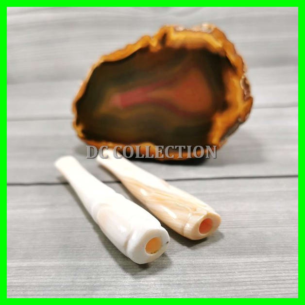 Pipa Rokok Kerang Asli Rasa Gurih Dan Nikmat