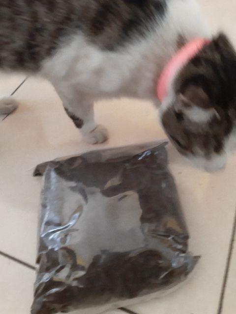 Media Tanam Organik Tanah Kompos  Repack 1kg