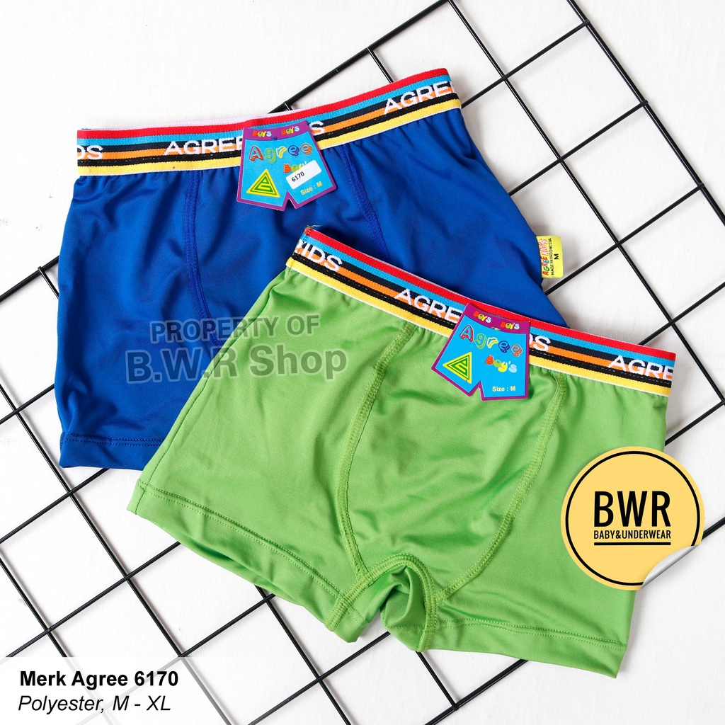 [ 3pc ] CD Boxer Agree Boys 6170 Warna / Celana Renang Anak laki Laki Polyester | Bwr