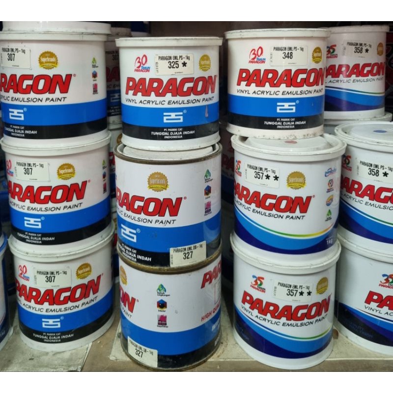 cat Paragon 1kg