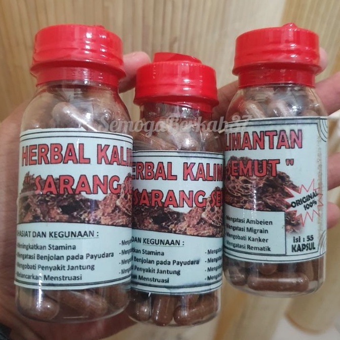 

Herbal Kalimantan Kapsul Sarang Semut Banyak Khasiat
