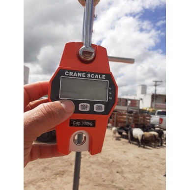 Timbangan Digital Gantung ORI / Crane Scale 300kg Digital LED Orange LCD Smart Crane Hook Scale Hanging 300Kg