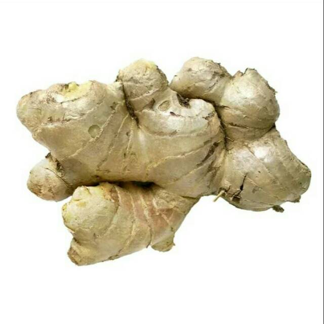 

Puri Segar Shop, JAHE BIASA 250 Gr / 500 Gr