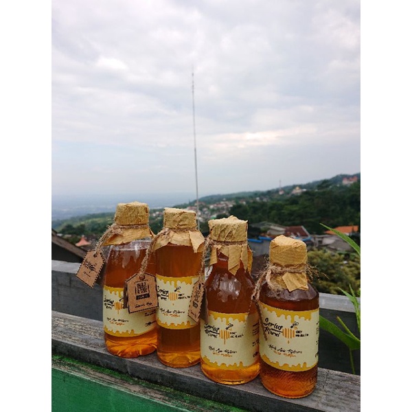 

Madu Murni Asli Serius Murni Original Apis Meliffera Nektar Multiflora Pure Honey Raw Honey 100% Murni