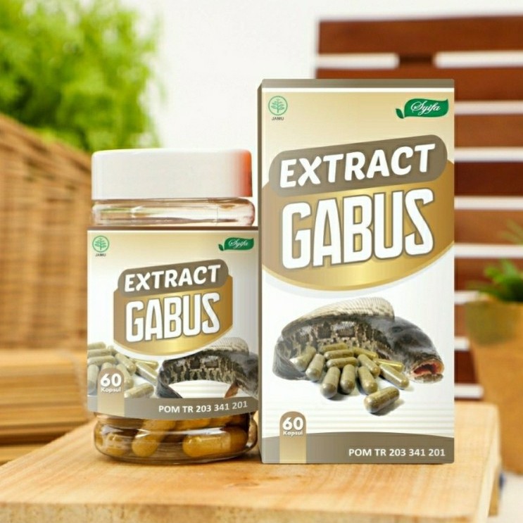 Kapsul Ekstrak Ikan Gabus Albumin GABUS KAYA PROTEIN ALBUMIN | Ekstrak Ikan Gabus - 60 Kapsul