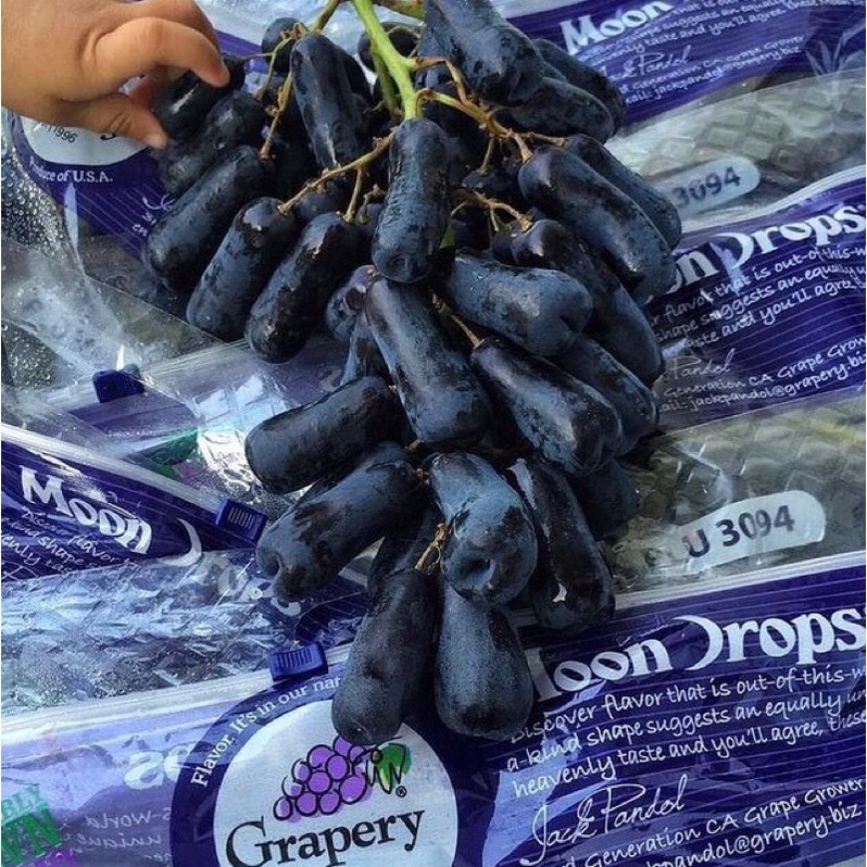 

Anggur Sweet Shappire Seedless 1Kg