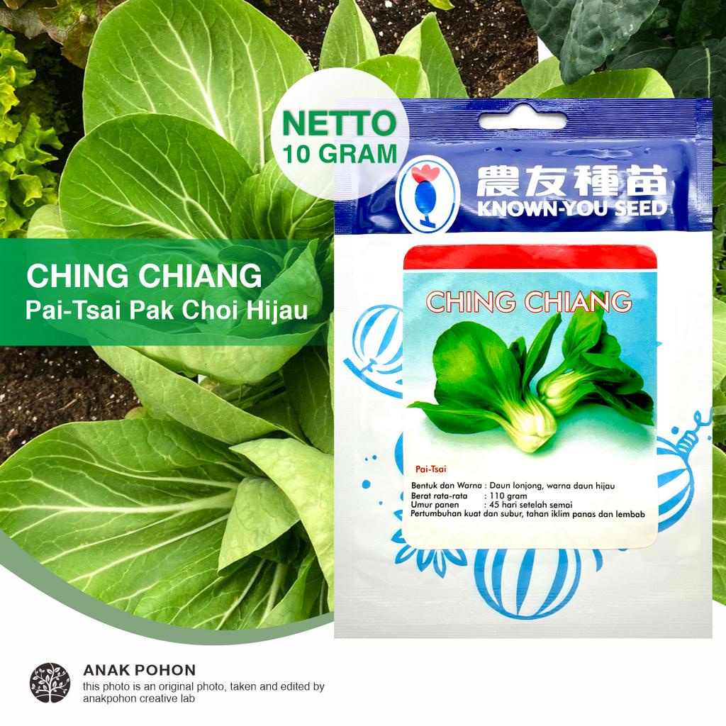 (1 PACK) Benih Pak Choy CHING CHIANG Pakcoy Pak Choi Hijau Seeds - Known You Seed KYS - 10 GRAM