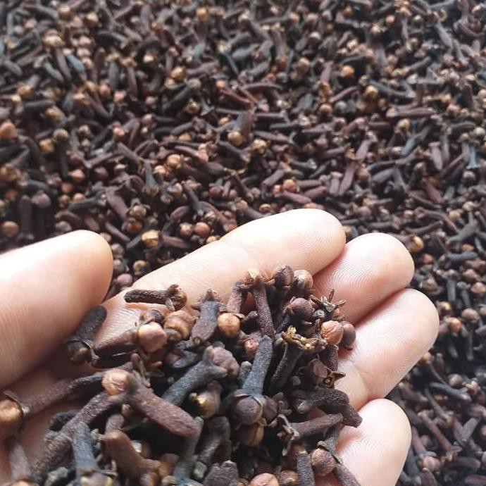 

[[BISA COD]] CENGKEH 1kg Kering Premium Clove KOMPLIT Kode 832