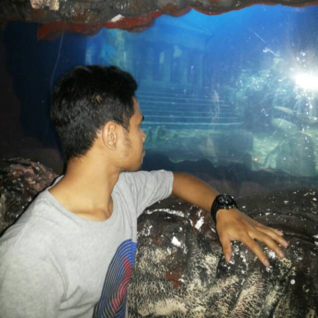 adin.hadudin