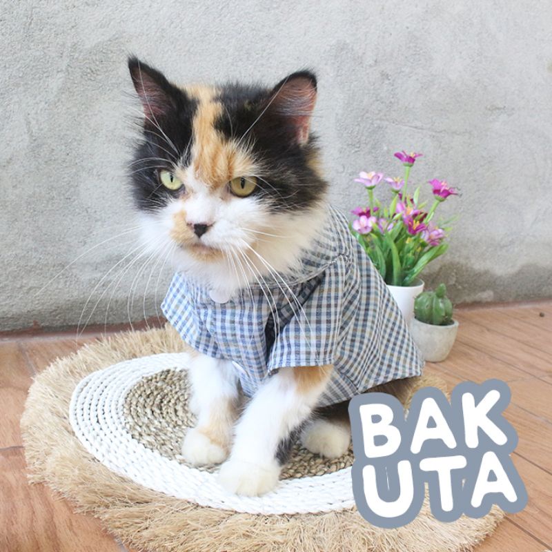 Kemeja kotak-kotak pak RT untuk kucing dan anjing / baju kucing murah size S-XL