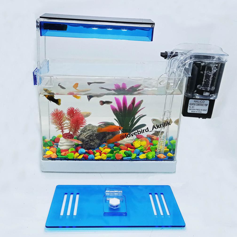 Ready Aquarium Mini, Aquarium Akrilik, Aquarium Lengkap, Aquarium Ikan Hias, Mini Aquarium, Aquarium