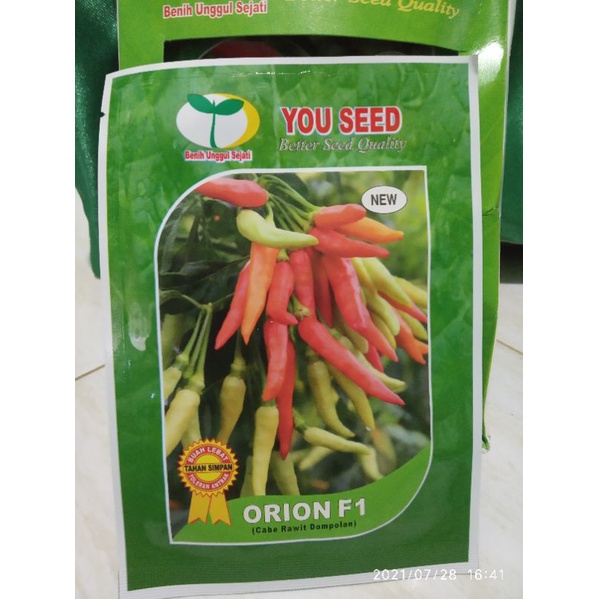 cabe new ORION f1 original 10 gr