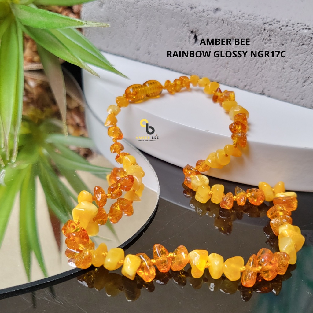 PROMO Termurah Kalung Amber Bayi Anak Premium Glossy Rainbow Nugget By Amber Bee