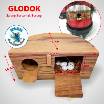 GLODOK SETENGAH LINGKARAN UNTUK LOVEBIRD - glodok untuk kandang kapsul