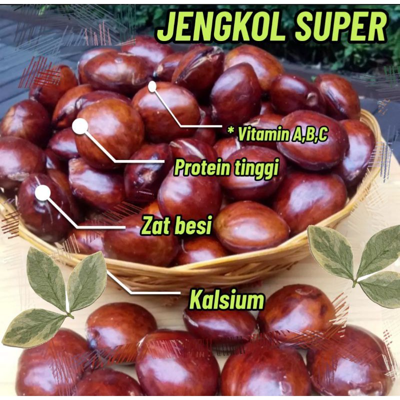 

JENGKOL SUPER