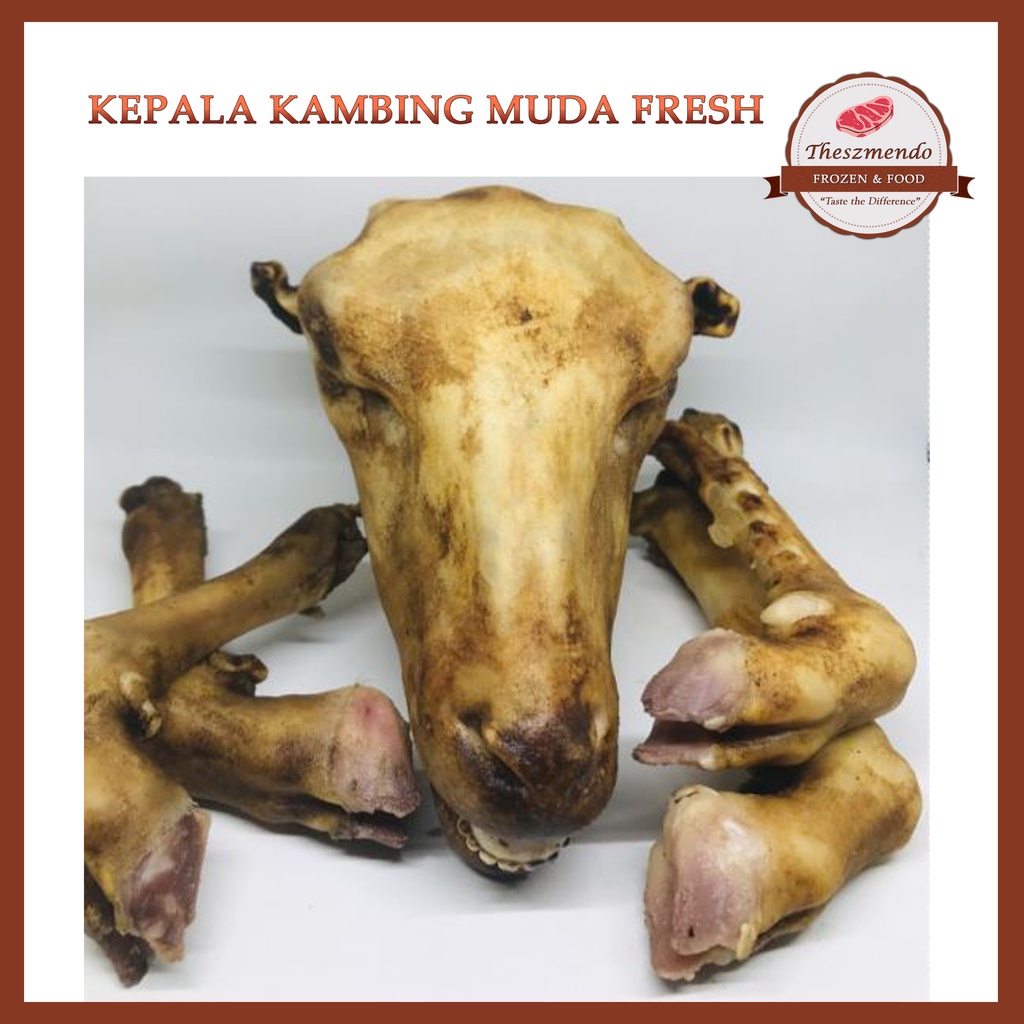 

Thesz Mendo - Kepala Kambing Muda Segar 1,5 kilogram dan kaki kambing